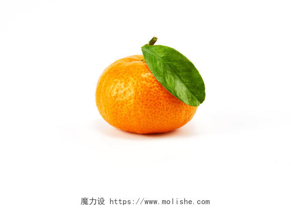白底一个小橘子橘子桔子小桔子蜜桔金桔